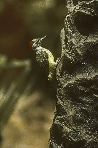 Description de cette image, également commentée ci-après