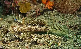 Description de cette image, également commentée ci-après