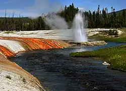 Dans l'Upper Geyser Basin.