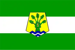 Drapeau de Province de Benslimaneⵜⴰⵙⴳⴰ ⵏ ⴰⵢⵜ ⵙⵍⵉⵎⴰⵏ