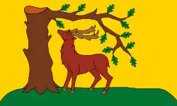 Drapeau de Berkshire