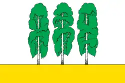 Drapeau de Beriozovo