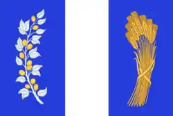 Drapeau de Raïon de Bitchoura