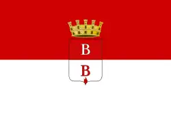 Drapeau de Busto Arsizio