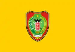 Drapeau de Kalimantan central