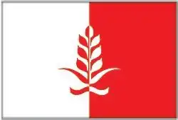 Drapeau de Češinovo-Obleševo