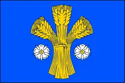 Drapeau de Dolní Lutyně