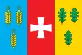 Drapeau de Raïon de Doubno