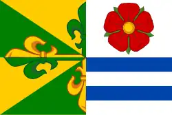 Drapeau de Dynín