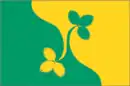 Drapeau de Vostotchnoïe Degounino