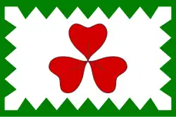 Drapeau de Kopřivná