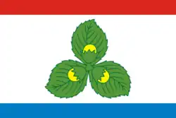 Drapeau de Krasnoznamensk