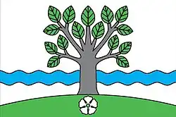 Drapeau de Nová Buková