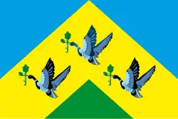 Drapeau de Novotcheboksarsk