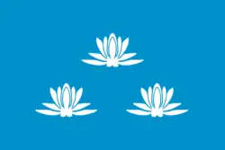 Drapeau de Novokouïbychevsk