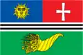 Drapeau du district
