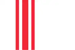 Drapeau de Oisterwijk