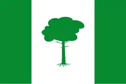Drapeau de Pinos Puente