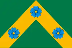 Drapeau de Raïon de Poudoj