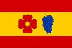 Drapeau de Radotín