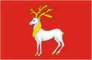 Drapeau de Rostov-la-Grande