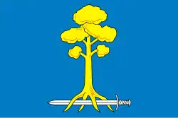 Drapeau de Sertolovo
