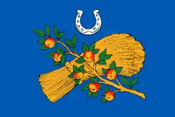 Drapeau de Raïon de Starojilovo