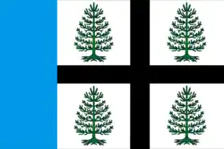 Drapeau de Soudislavl