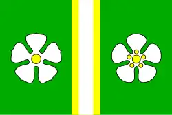 Drapeau de Těchlovice