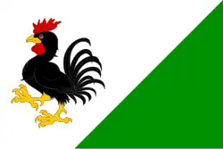 Drapeau de Vyšehněvice