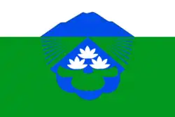 Drapeau de Raïon de Viazemski