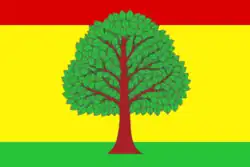 Drapeau de Raïon de Viazniki