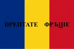 Tricolore arboré pendant la Révolution roumaine de 1848.