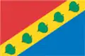 Drapeau du district