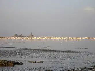 Image illustrative de l’article Lac Abbe