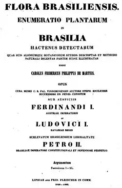 Image illustrative de l’article Flora Brasiliensis
