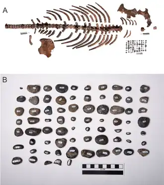 Description de cette image, également commentée ci-après