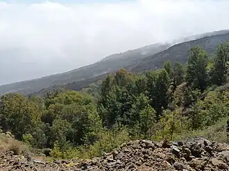Vue de la Chã das Caldeiras depuis le sentier du monte Velha.