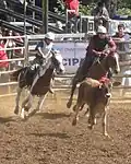 Rodéo