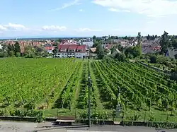Panorama depuis les fenêtres du musée