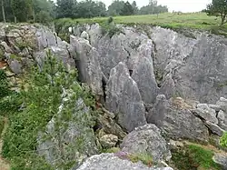 Le Fondry des Chiens.