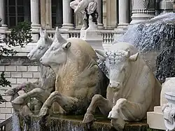 4 taureaux de Camargue