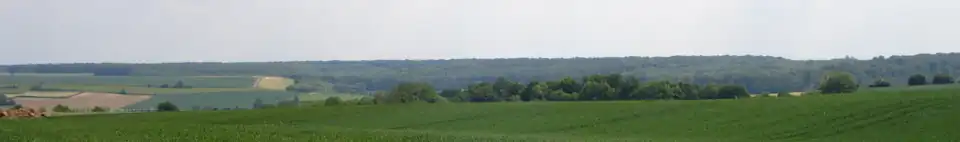 Panorama de la forêt domaniale d'Hesdin depuis le GR121 à Contes.
