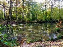 La Mare aux Corbeaux.