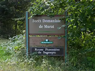 Image illustrative de l’article Forêt domaniale de Murat