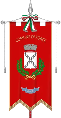 Drapeau de Force