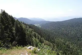 Forêt de Villard, secteur du plateau d'Herbouilly
