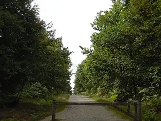 Image illustrative de l’article Forêt de la Corbière