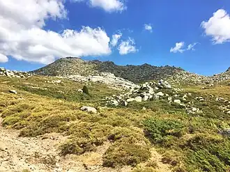 Paysage du plateau avec chaos rocheux et arbustes.