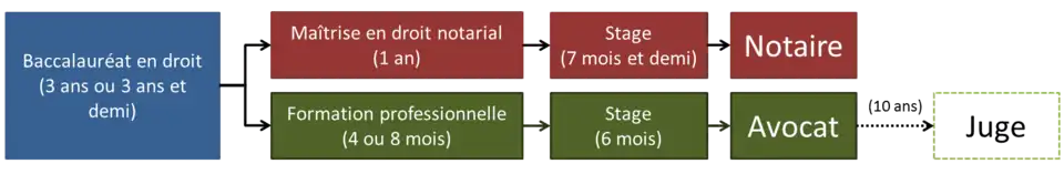 Schéma montrant les deux cheminements classiques dans le domaine juridique au Québec : le notaire et l'avocat.